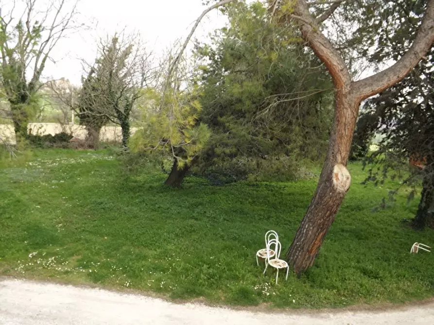 Immagine 11 di Appartamento in vendita  a Ostra