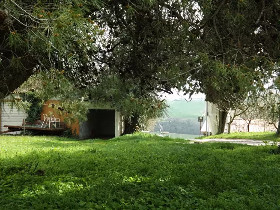 Immagine 13 di Appartamento in vendita  a Ostra