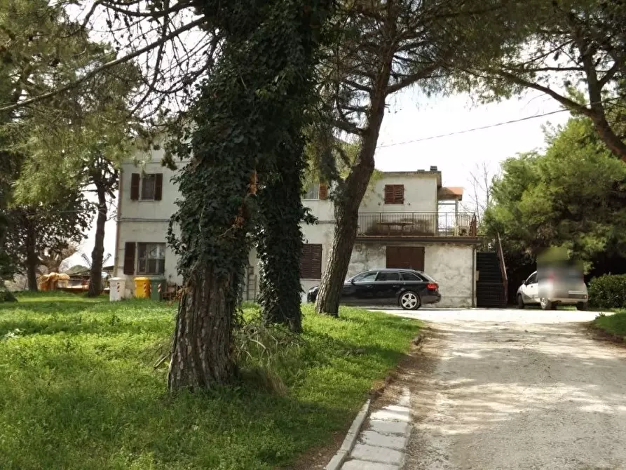 Immagine 14 di Appartamento in vendita  a Ostra