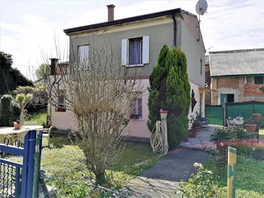 casa indipendente in vendita a Trecenta