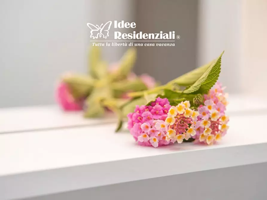 Immagine 18 di Appartamento in affitto  a Palau