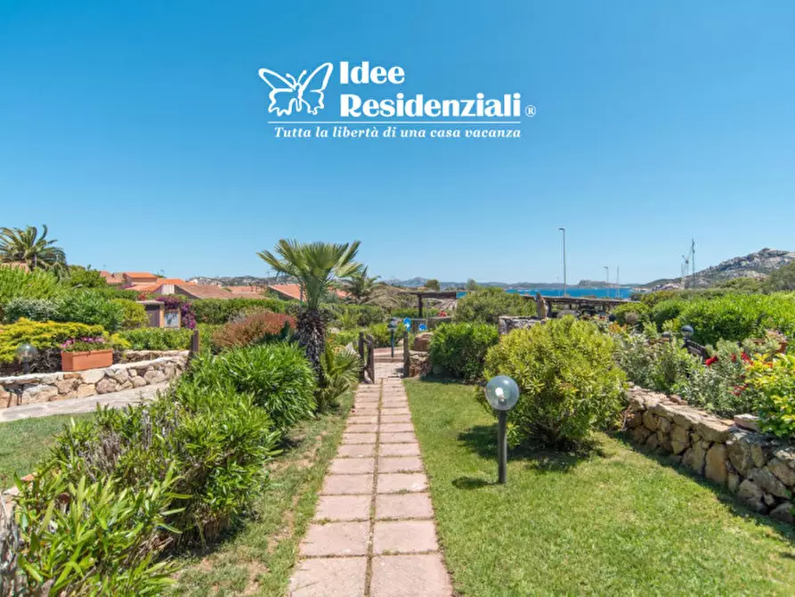 Immagine 21 di Appartamento in affitto  a Palau