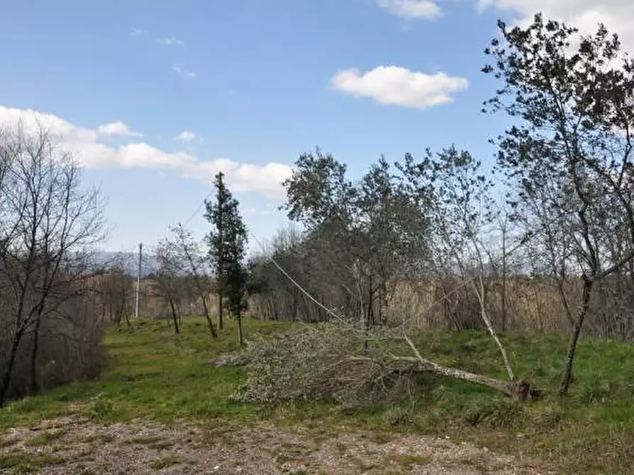 Immagine 8 di Rustico / casale in vendita  a Terranuova Bracciolini