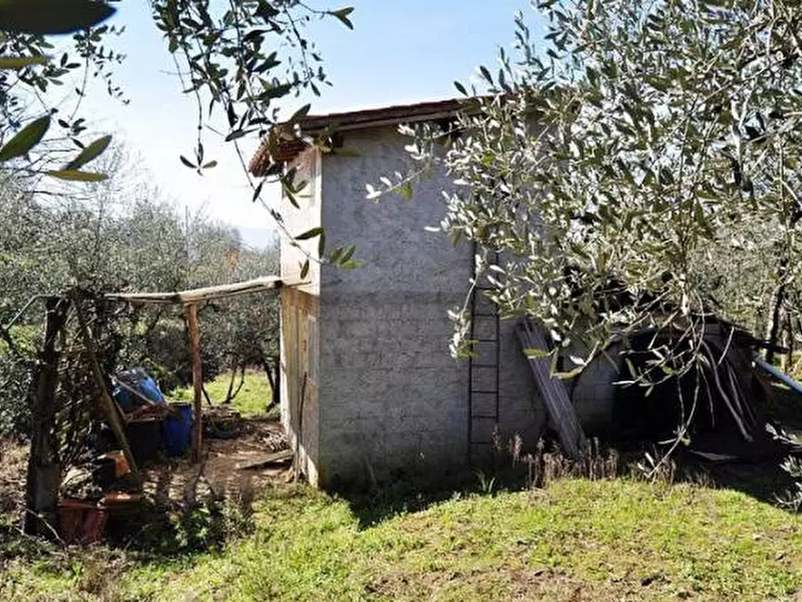 Immagine 1 di Terreno in vendita  a Terranuova Bracciolini