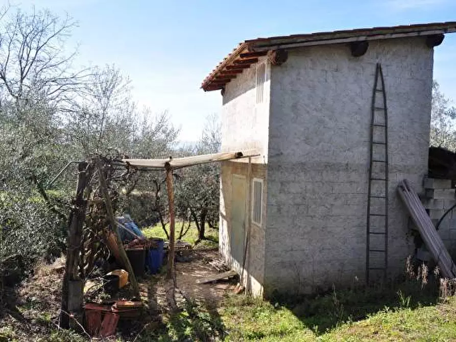 Immagine 2 di Terreno in vendita  in Malva a Terranuova Bracciolini
