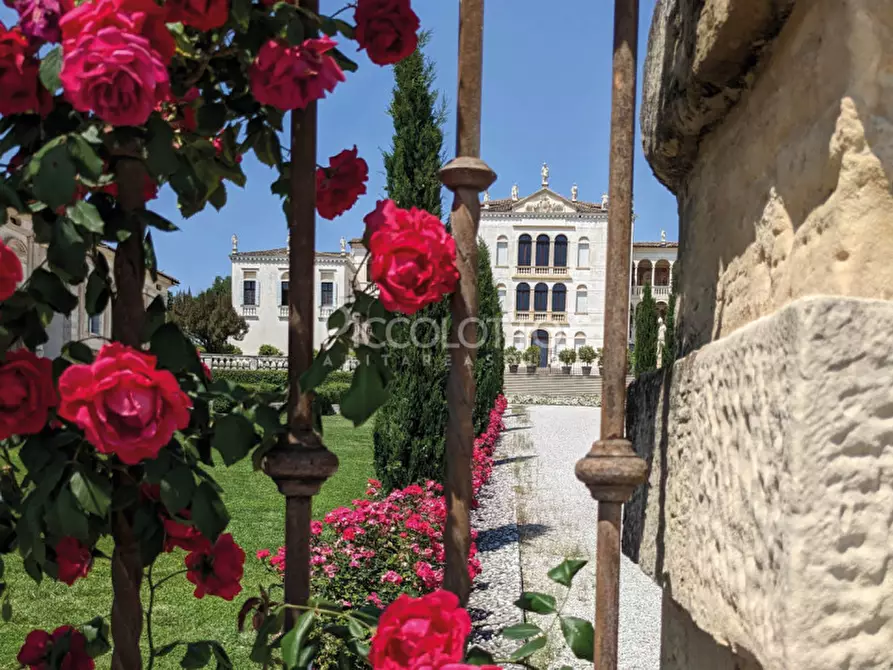 Immagine 26 di Appartamento in vendita  in Via Palladio a Asolo