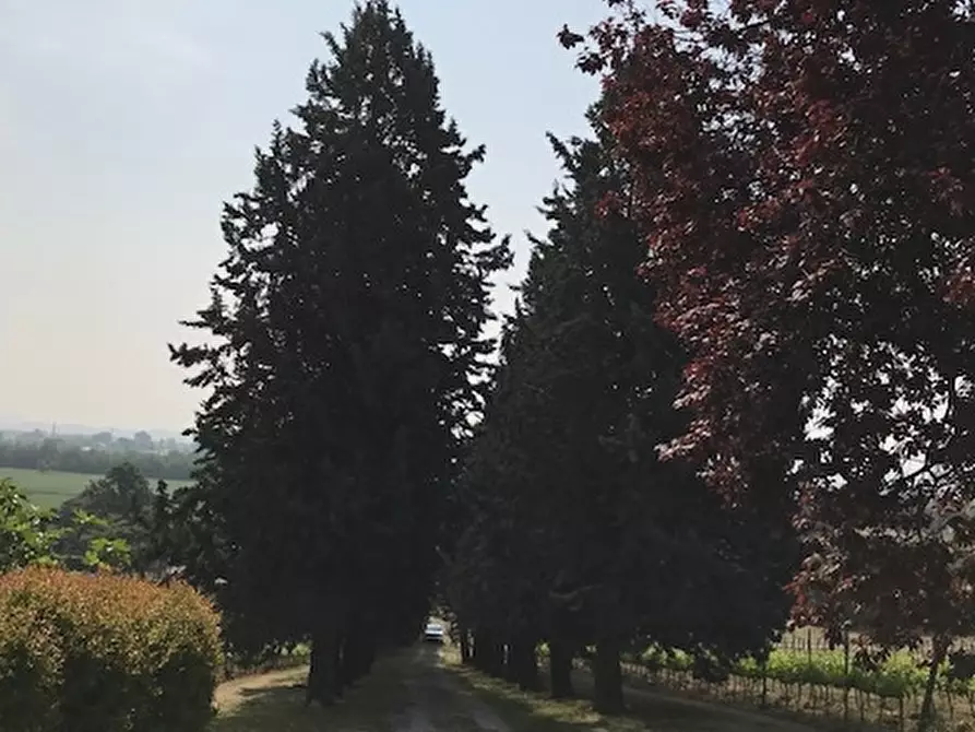 Immagine 4 di Villa in vendita  a Santarcangelo Di Romagna