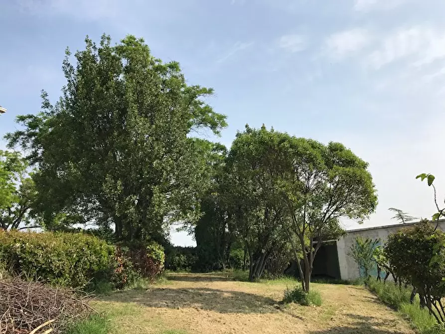 Immagine 5 di Villa in vendita  a Santarcangelo Di Romagna