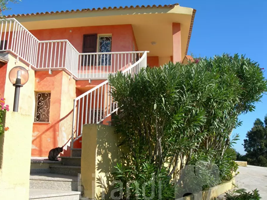 Immagine 1 di Villa in vendita  a Arzachena