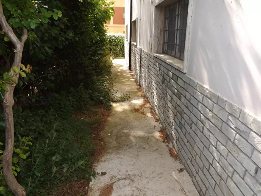 Immagine 38 di Palazzo in vendita  a Trecastelli