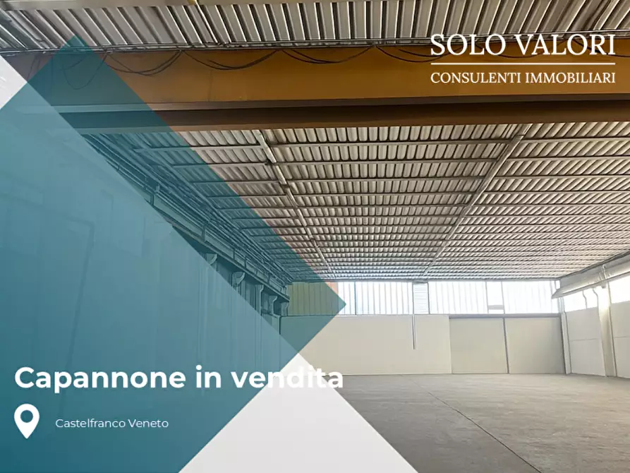 Immagine 2 di Capannone industriale in vendita  a Castelfranco Veneto