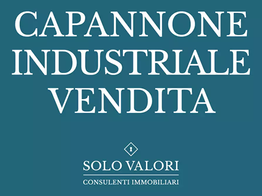 Immagine 3 di Capannone industriale in vendita  a Castelfranco Veneto