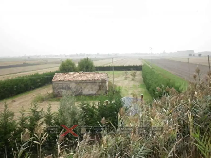 Immagine 1 di Terreno in vendita  in Via G. Matteotti n. 20 Bis - Cavarzere a Cavarzere