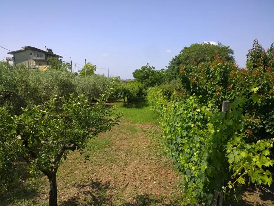 Immagine 2 di Terreno in vendita  in Via delle sorgenti a Eboli