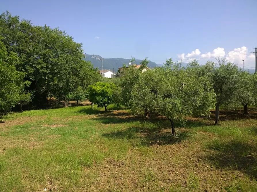 Immagine 3 di Terreno in vendita  in Via delle sorgenti a Eboli