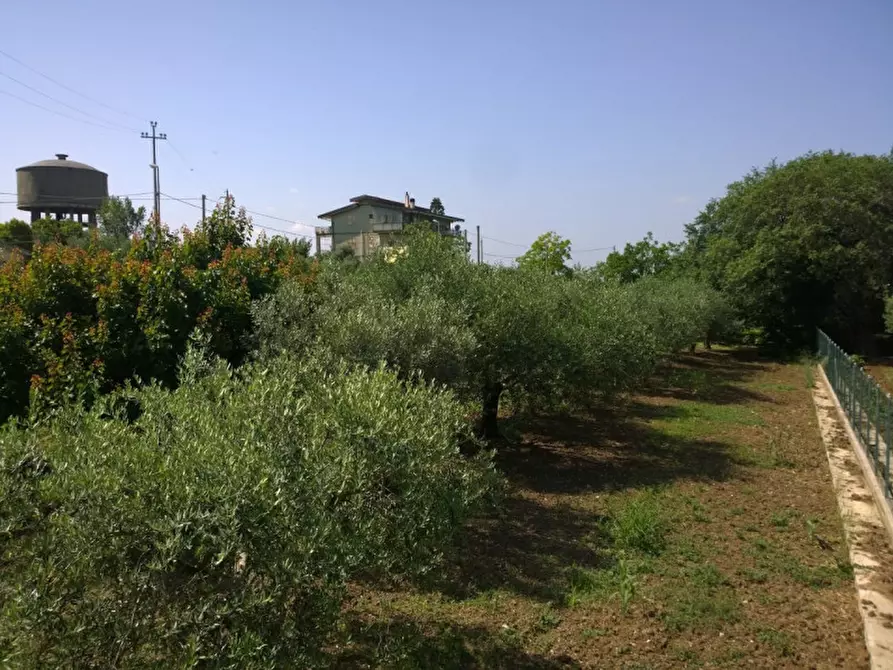 Immagine 13 di Terreno in vendita  in Via delle sorgenti a Eboli