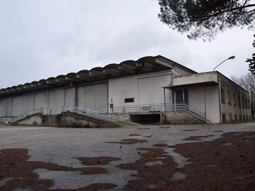 Immagine 1 di Capannone industriale in vendita  in Via Massimo Bontempelli, N. 22 a Perugia