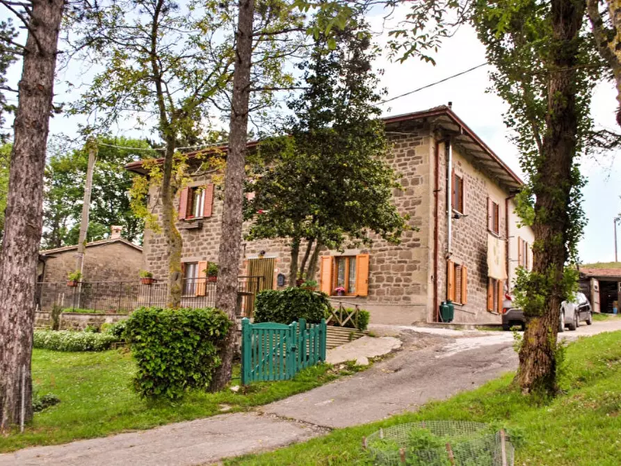Immagine 2 di Rustico / casale in vendita  in Petrella Massana a Sestino
