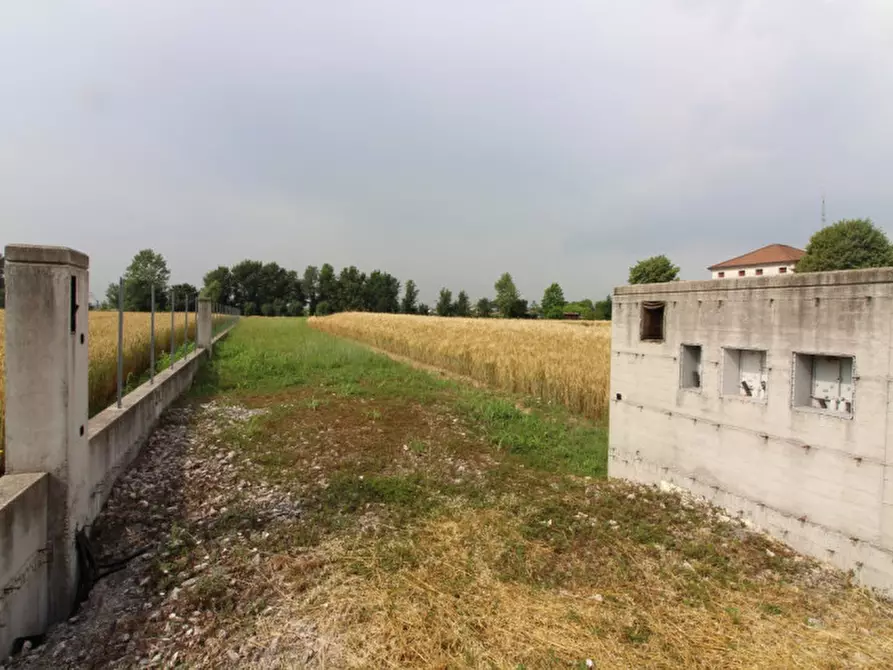 Immagine 1 di Terreno in vendita  in Via Pelosa a Saccolongo