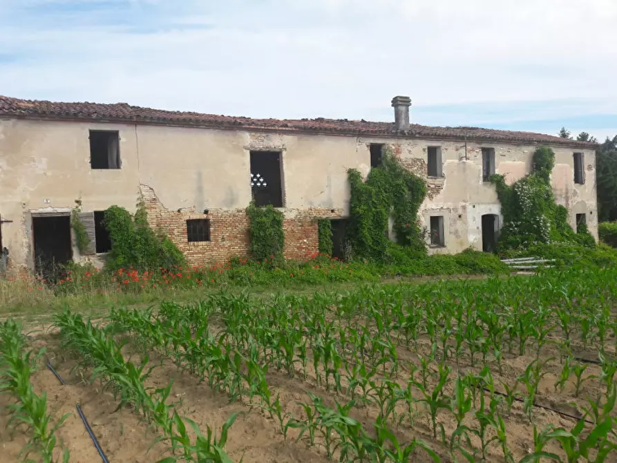 Immagine 2 di Rustico / casale in vendita  in Via Umberto I, 6 a Bovolone