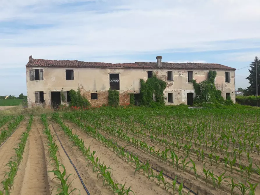 Immagine 7 di Rustico / casale in vendita  in Via Umberto I, 6 a Bovolone