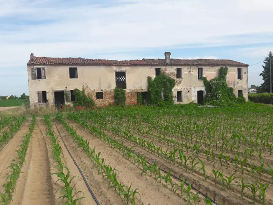 Immagine 8 di Rustico / casale in vendita  in Via Umberto I, 6 a Bovolone