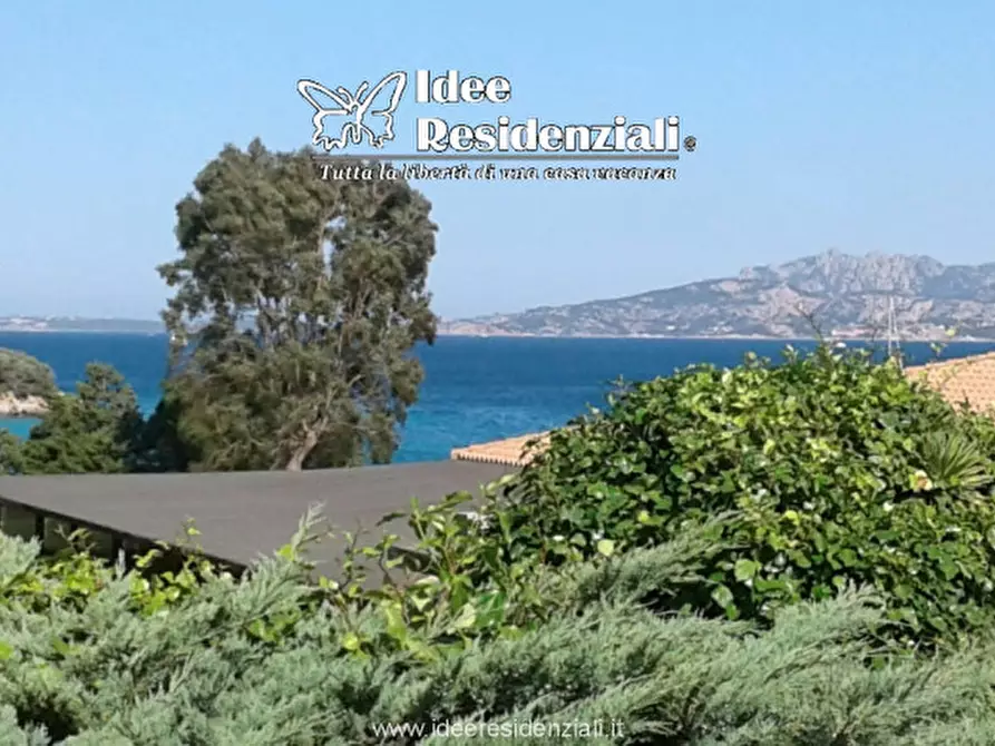 Immagine 2 di Villa in vendita  in porto mannu a Palau