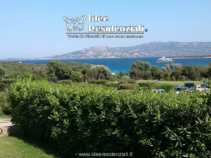 Immagine 3 di Villa in vendita  in porto mannu a Palau