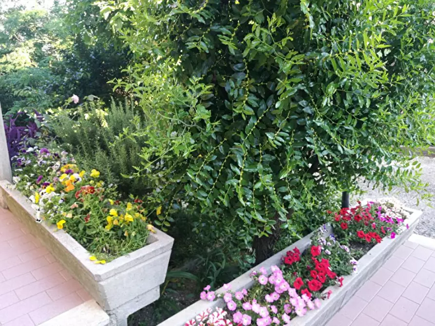 Immagine 20 di Casa bifamiliare in vendita  in Strada dei Fenatacci a Pesaro