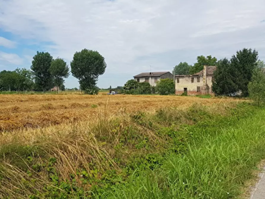 Immagine 2 di Rustico / casale in vendita  a Borgo Veneto