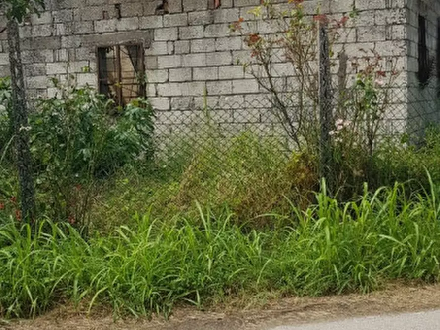 Immagine 3 di Rustico / casale in vendita  a Borgo Veneto