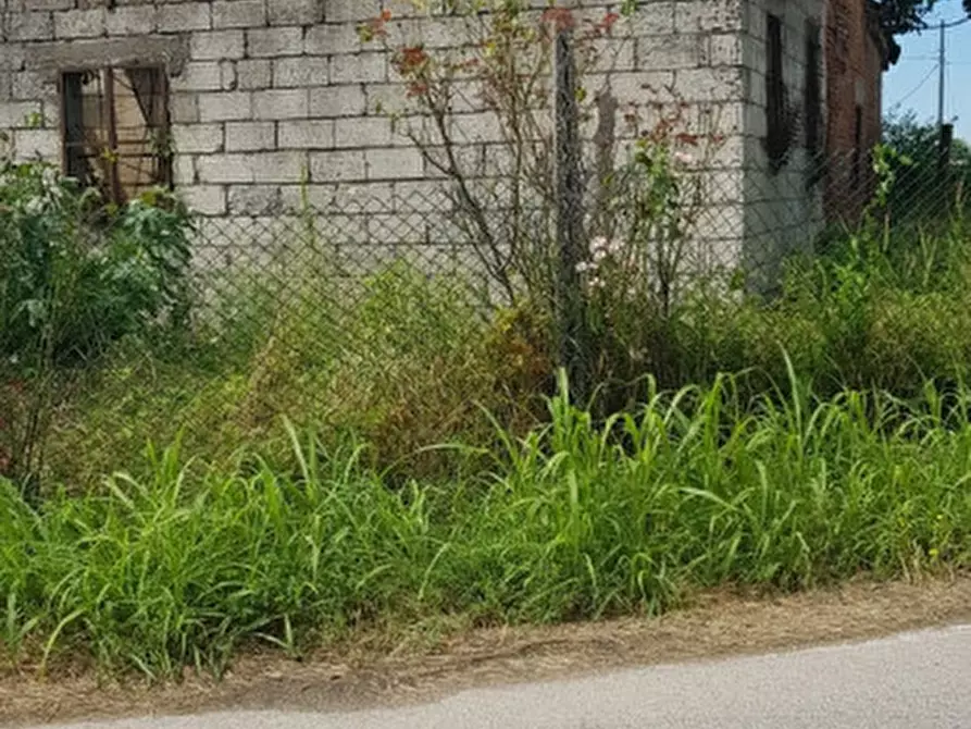 Immagine 5 di Rustico / casale in vendita  a Borgo Veneto