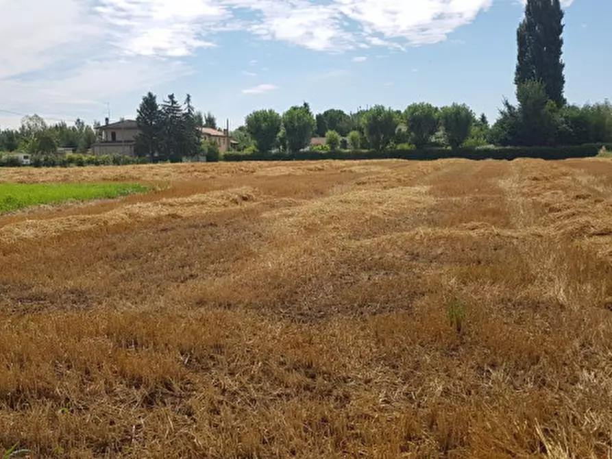 Immagine 7 di Rustico / casale in vendita  a Borgo Veneto