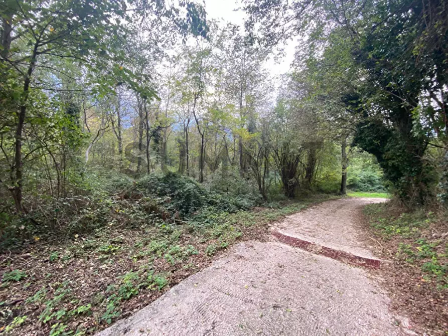 Immagine 1 di Terreno in vendita  a Cogollo Del Cengio