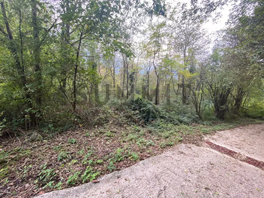 Immagine 5 di Terreno in vendita  a Cogollo Del Cengio