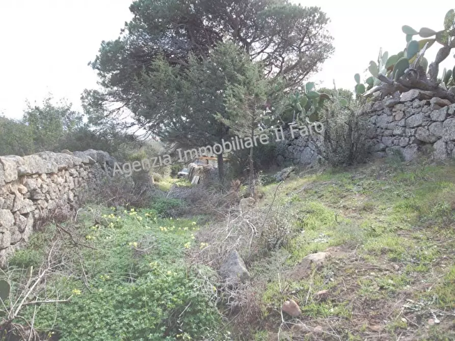Immagine 2 di Terreno in vendita  in Regione Punta Villa a La Maddalena