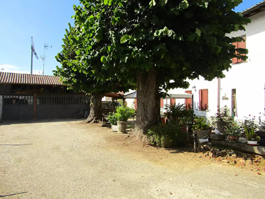 Immagine 25 di Casa bifamiliare in vendita  in corso della Repubblica n° 49 a Sannazzaro De' Burgondi