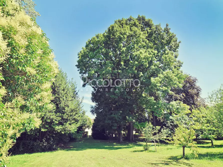 Immagine 31 di Villa in vendita  in Via Foresto Vecchio a Asolo