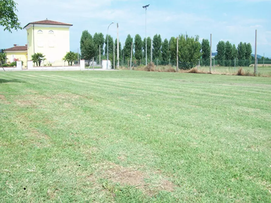 Immagine 3 di Terreno in vendita  a Poiana Maggiore