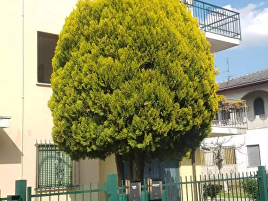 Immagine 2 di Appartamento in vendita  in VIA ROMA a Ponso