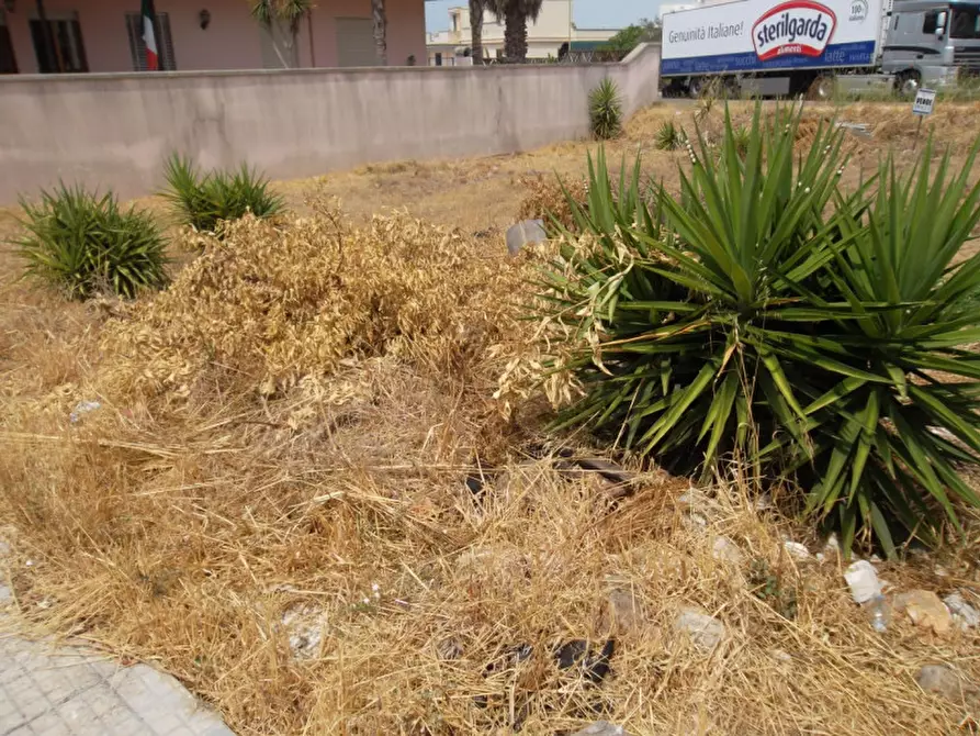 Immagine 3 di Terreno in vendita  in Via Faggiani a Parabita