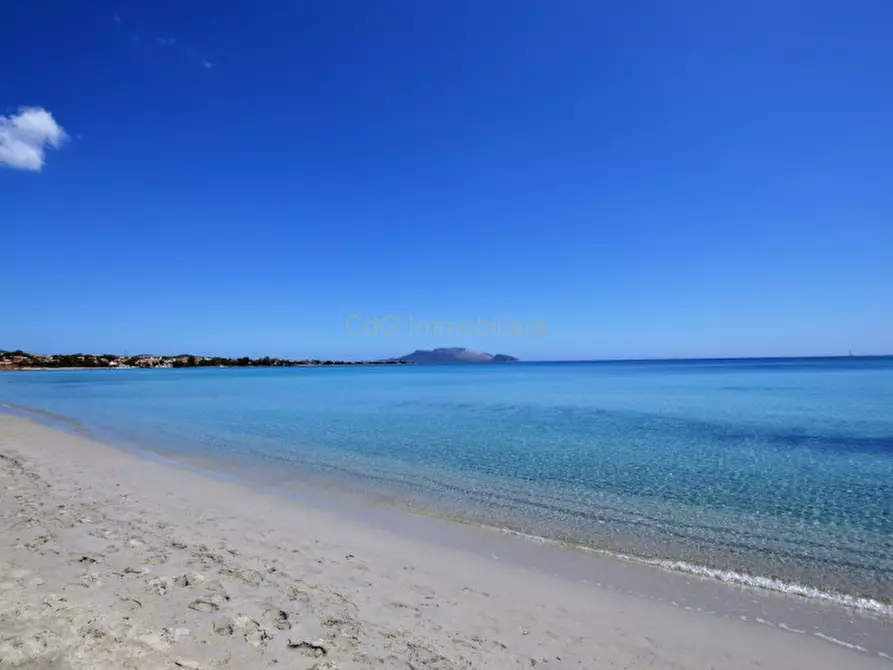 Immagine 44 di Attico in vendita  in via donigheddu a Olbia