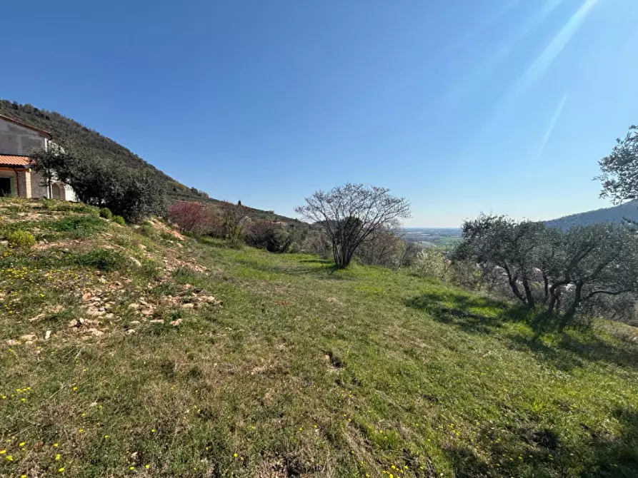 Immagine 14 di Villa in vendita  in vIA MONTà pICCOLO a Arqua' Petrarca