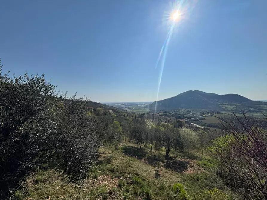 Immagine 15 di Villa in vendita  in vIA MONTà pICCOLO a Arqua' Petrarca