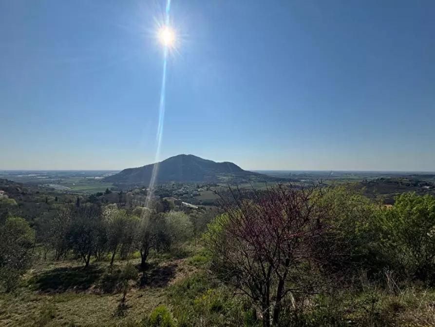 Immagine 16 di Villa in vendita  in vIA MONTà pICCOLO a Arqua' Petrarca