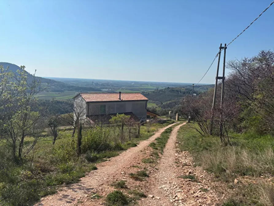 Immagine 17 di Villa in vendita  in vIA MONTà pICCOLO a Arqua' Petrarca