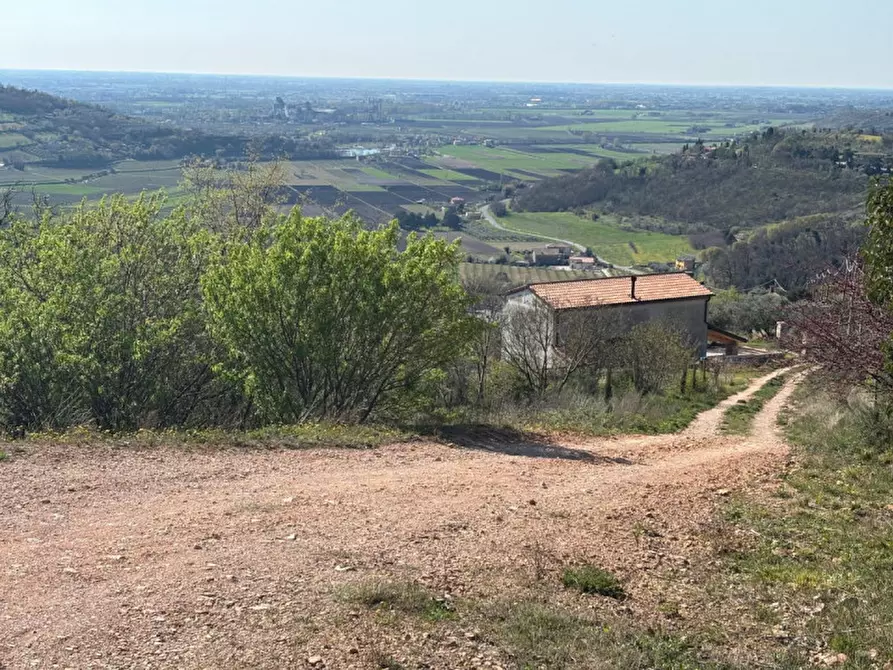 Immagine 19 di Villa in vendita  in vIA MONTà pICCOLO a Arqua' Petrarca