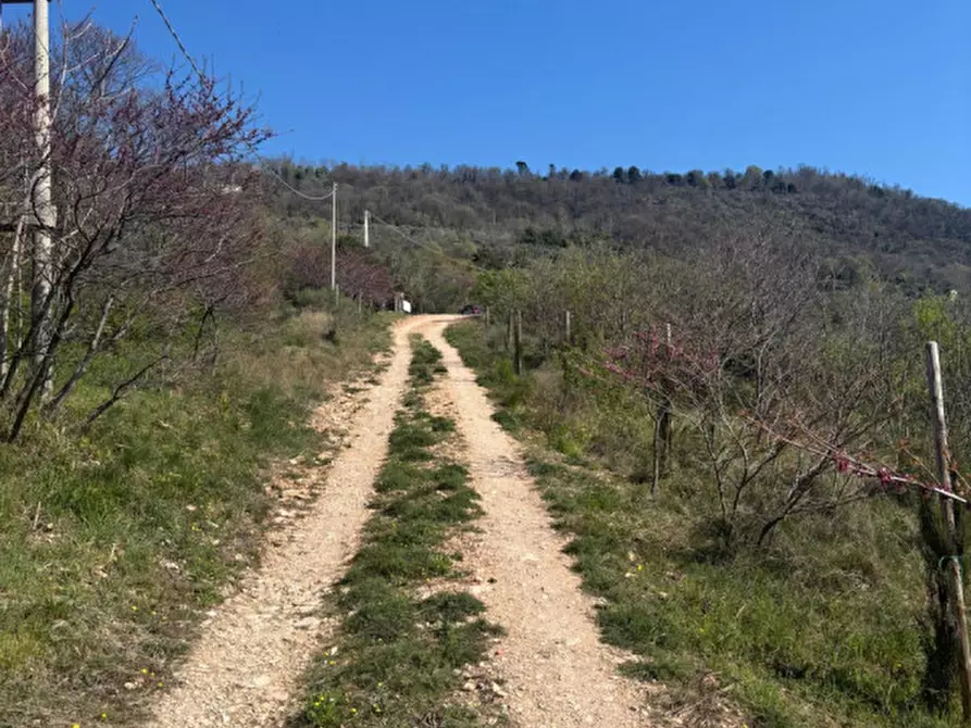 Immagine 20 di Villa in vendita  in vIA MONTà pICCOLO a Arqua' Petrarca