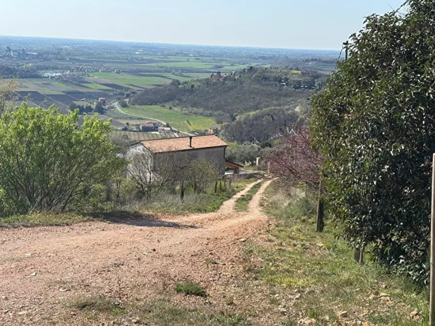 Immagine 21 di Villa in vendita  in vIA MONTà pICCOLO a Arqua' Petrarca