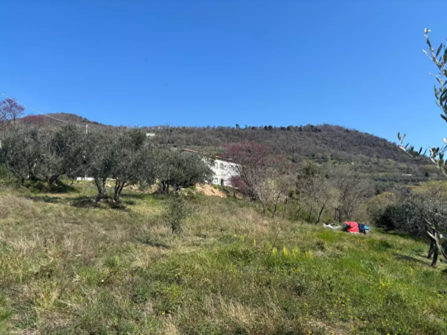 Immagine 22 di Villa in vendita  in vIA MONTà pICCOLO a Arqua' Petrarca